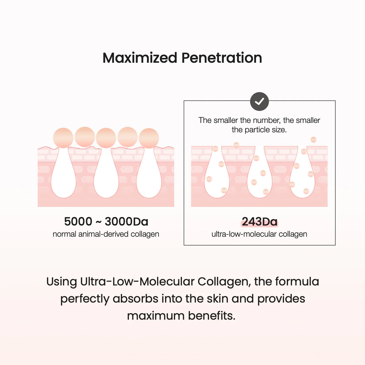 Biodance Pore Tightening Collagen Ampoule